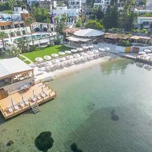 Avantgarde Refined Hotel